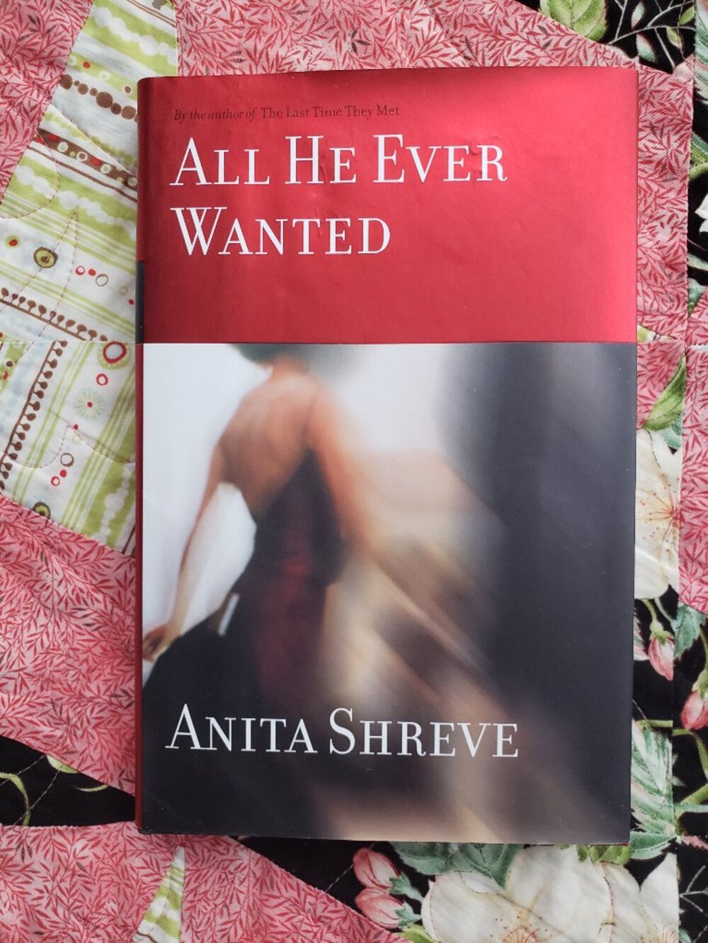 3/$15, All He Ever Wanted: A Novel by Anita Shreve, 1st Edition